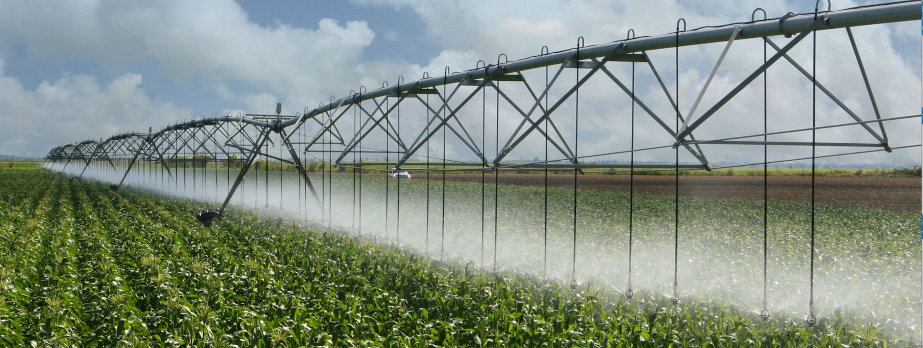 Агроном в теплице. Биотехнология растений. Сельскохозяйственные профессии агроном. Волохов сергей агрокультура. Vegetable field.