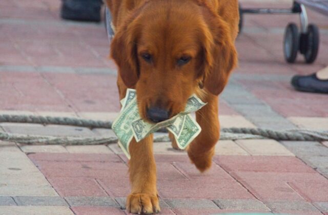 paid social