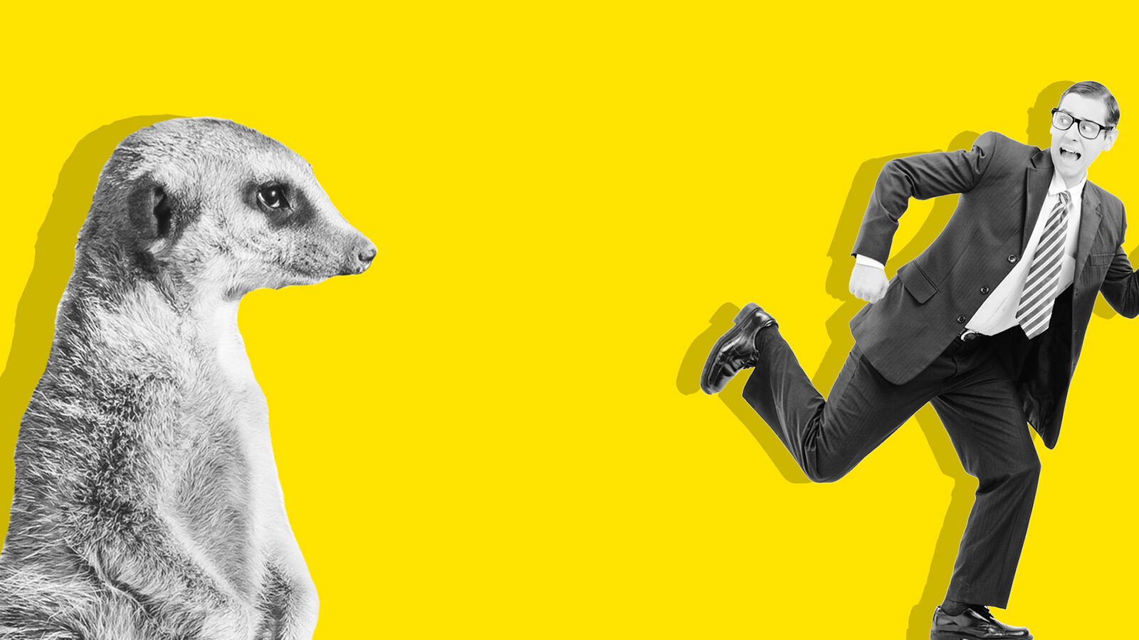 Despite the Hype, Is Meerkat Really Worth Your Time?