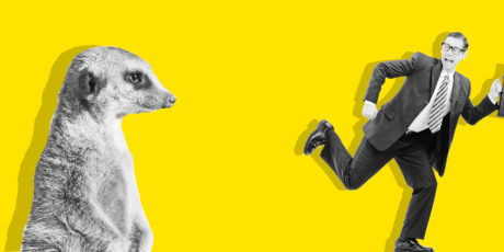 Despite the Hype, Is Meerkat Really Worth Your Time?