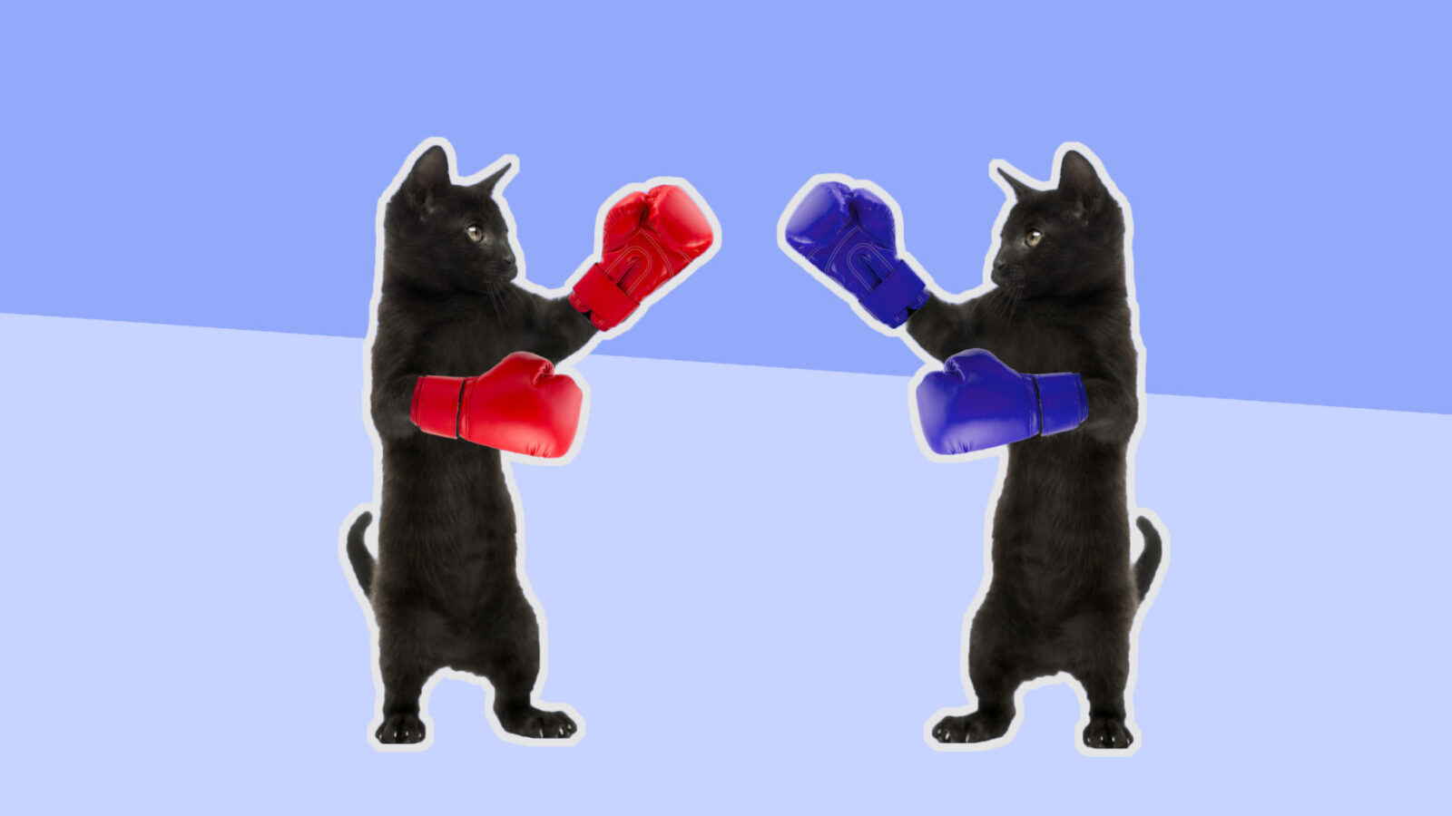This Boxing Kittie Video From 1894 Proves Thomas Edison Would Have Invented BuzzFeed