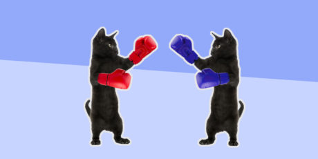 This Boxing Kitty Video From 1894 Proves Thomas Edison Would Have Invented BuzzFeed