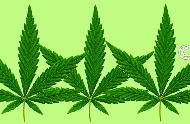 For Legal Marijuana Companies, Branding Is a Slow Burn