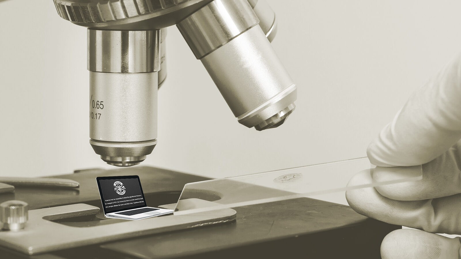 What the Hell Is a Microsite and Why Do I Need One?