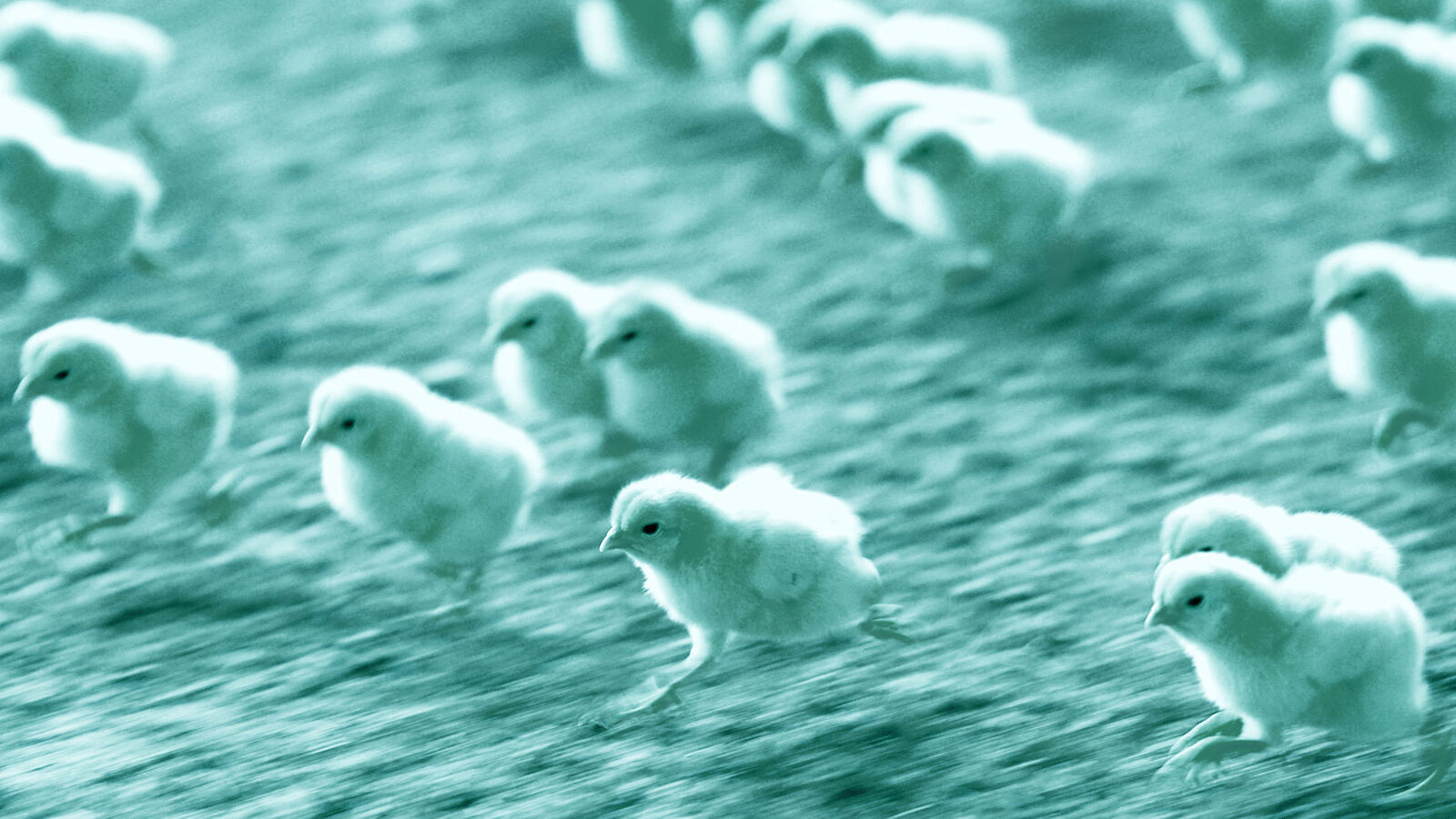 Content Catchup: Our Secret ROI Formula, Social's Surprising New Weapon, and More Must-Reads