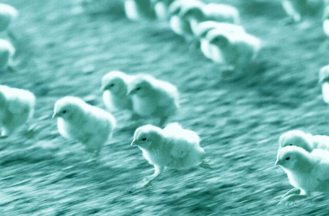 Content Catchup: Our Secret ROI Formula, Social's Surprising New Weapon, and More Must-Reads