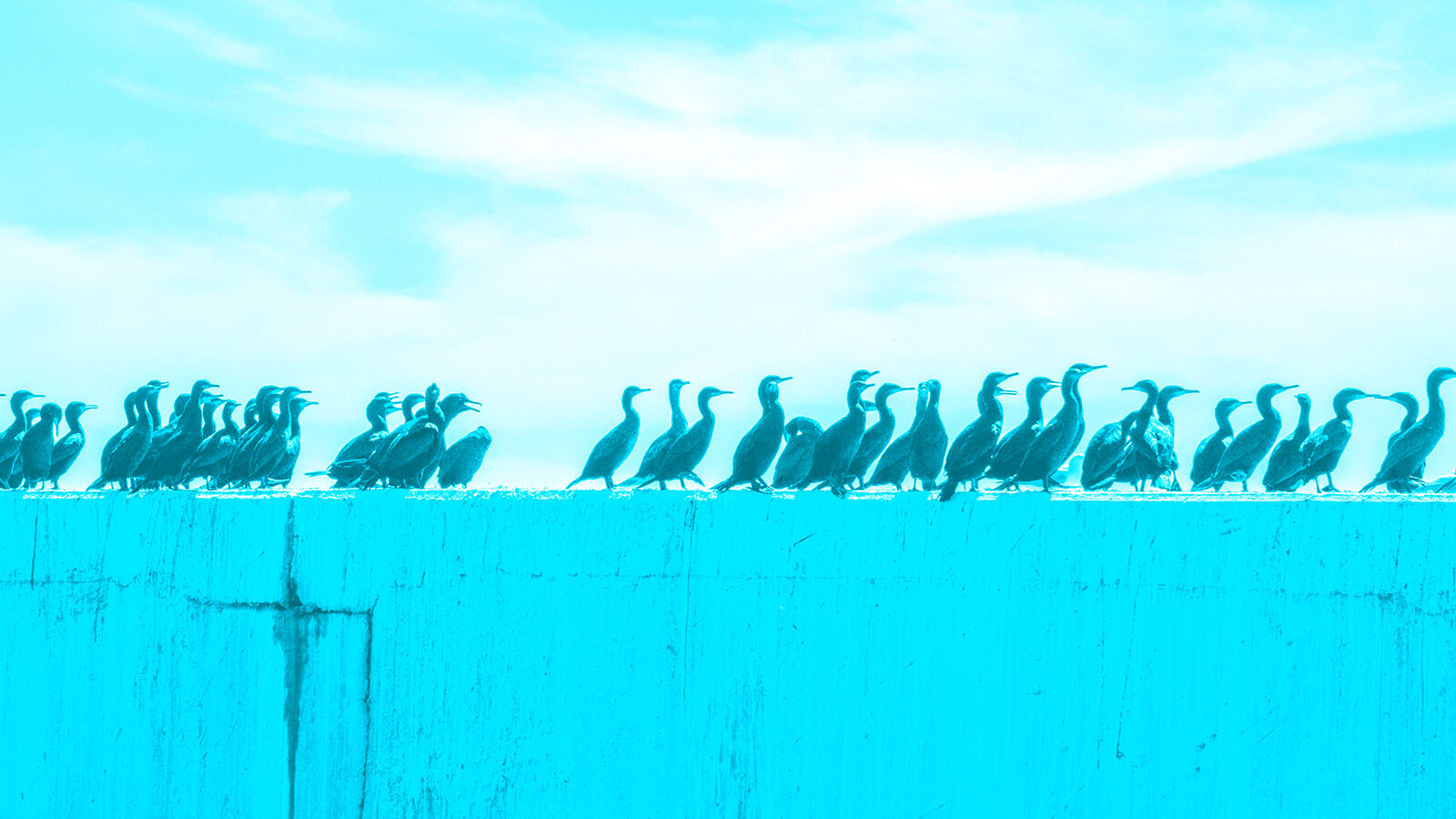 Content Catchup: Facebook Instant Articles, the User-Generated Brand Mag, and More Must-Reads