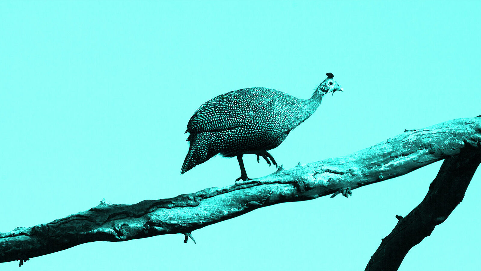 Content Catchup: The Ultimate ROI Guide, the Bitcoin of Ad Currencies, and More Must-Reads