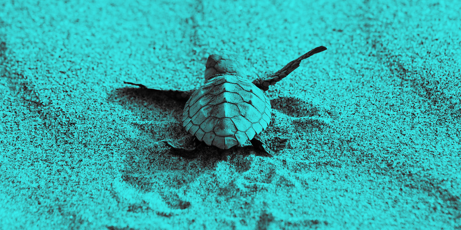 content marketing catchup
