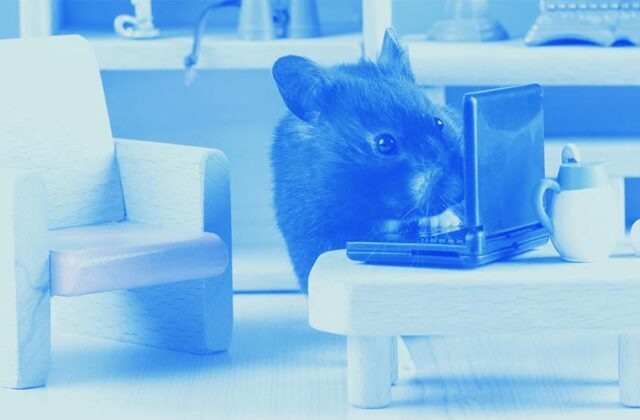 Content Catchup: Crazy Media Predictions, Best of B2B Instagram, and More Must-Reads