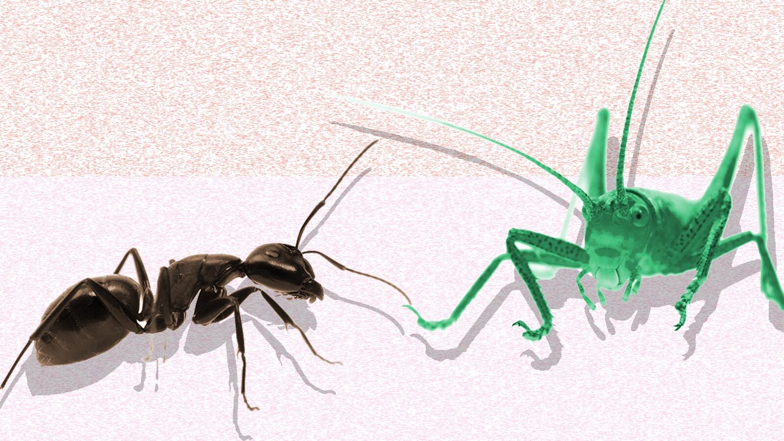 The Ant and the Grasshopper, or Why Ignoring ROI Is a Death Wish