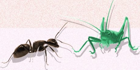 The Ant and the Grasshopper, or Why Ignoring ROI Is a Death Wish