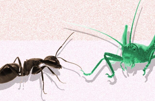 The Ant and the Grasshopper, or Why Ignoring ROI Is a Death Wish