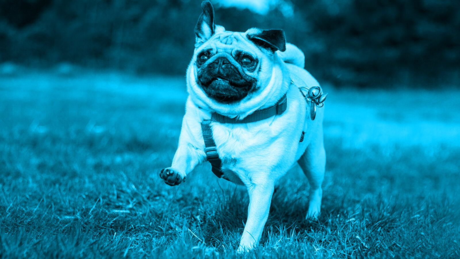 Content Catchup: Content Marketing Predictions, a Hot New ROI Formula, and More Must-Reads