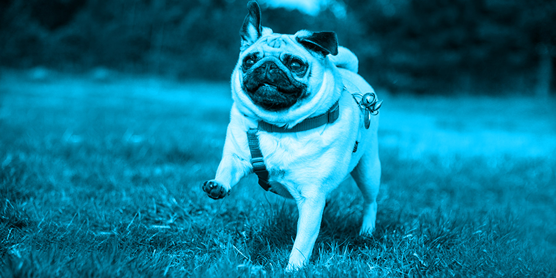 Content Catchup: Content Marketing Predictions, a Hot New ROI Formula, and More Must-Reads