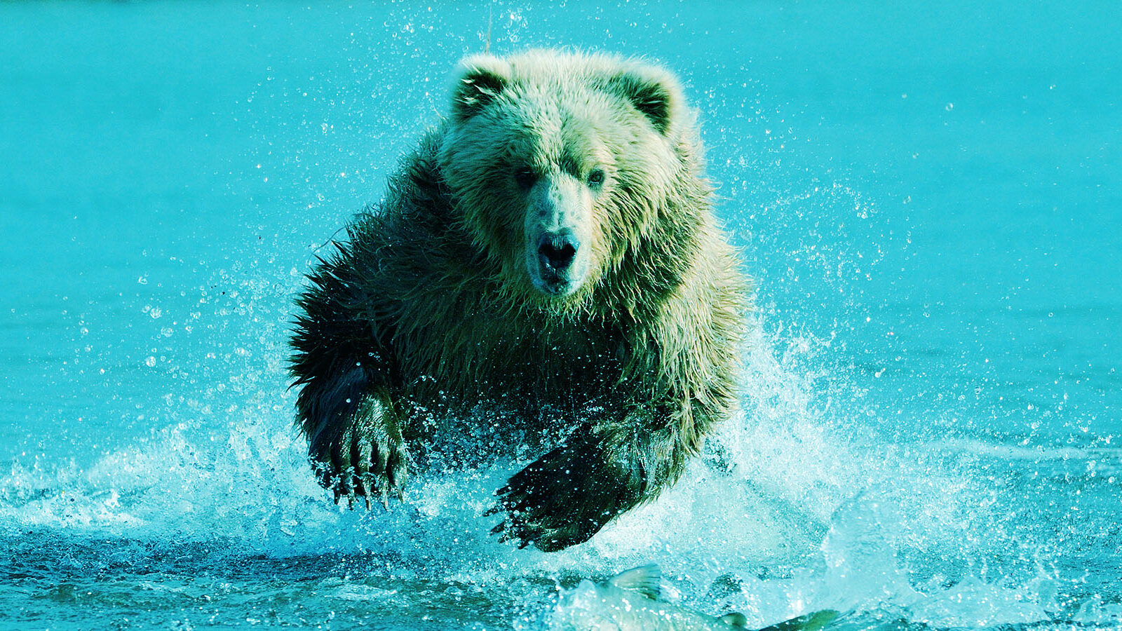 Content Catchup: Clickable Instagram Ads, BuzzFeed's Martech Move, and More Must-Reads