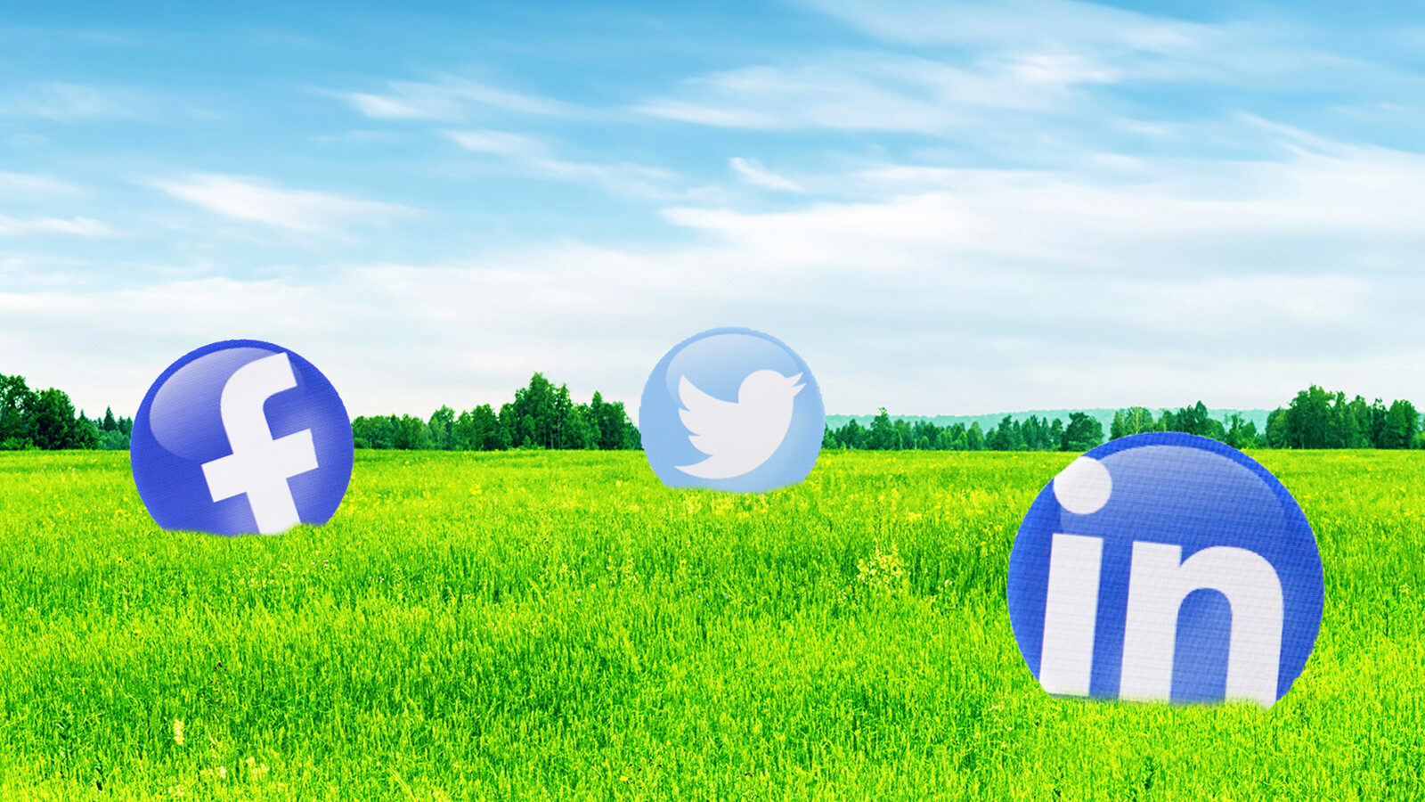 The Pros, Cons, and Costs of the Top Content Distribution Platforms of 2015