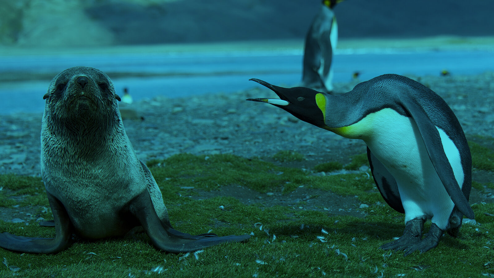 Content Catchup: Native Ad Confusion, the Ultimate SEO Guide, and More Must-Reads
