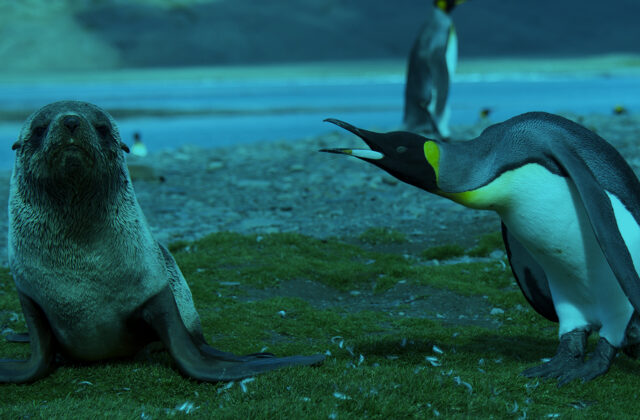 Content Catchup: Native Ad Confusion, the Ultimate SEO Guide, and More Must-Reads