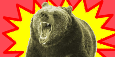 10 Content Marketing Buzzwords That’ll Make You Want to Go Live With Bears
