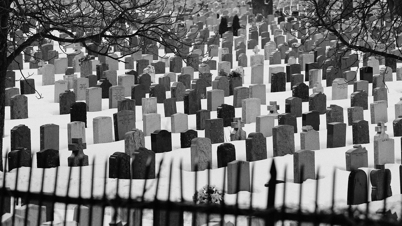 The Quiet Death of Church and State
