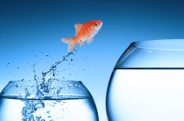 5 Big Ways Content Marketing Will Change in 2016