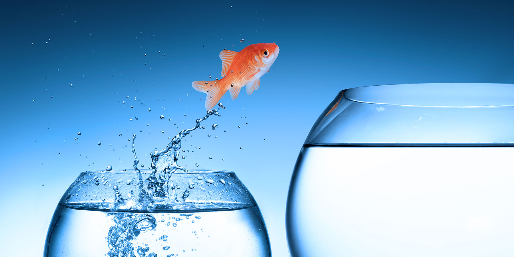 5 Big Ways Content Marketing Will Change in 2016