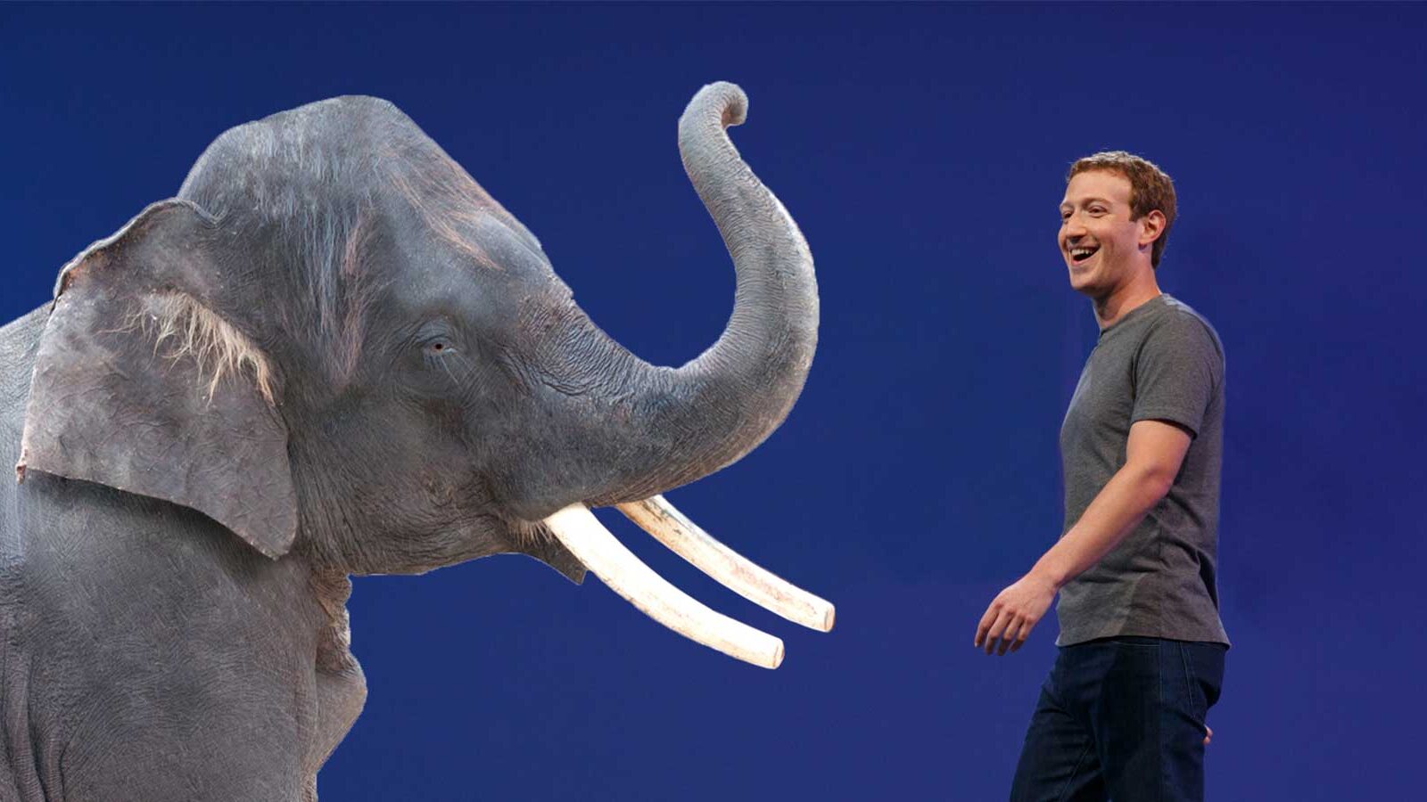 Zuckerberg_GOP
