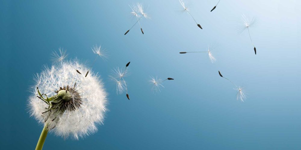 Contently Included on Inc. 5000’s Fastest-Growing Companies List for Second Consecutive Year