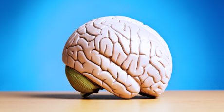 Infographic: How Our Brains Respond to Different Content Formats