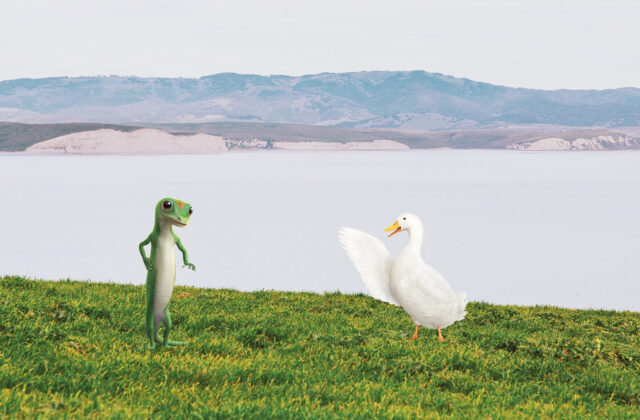 insurance content marketing