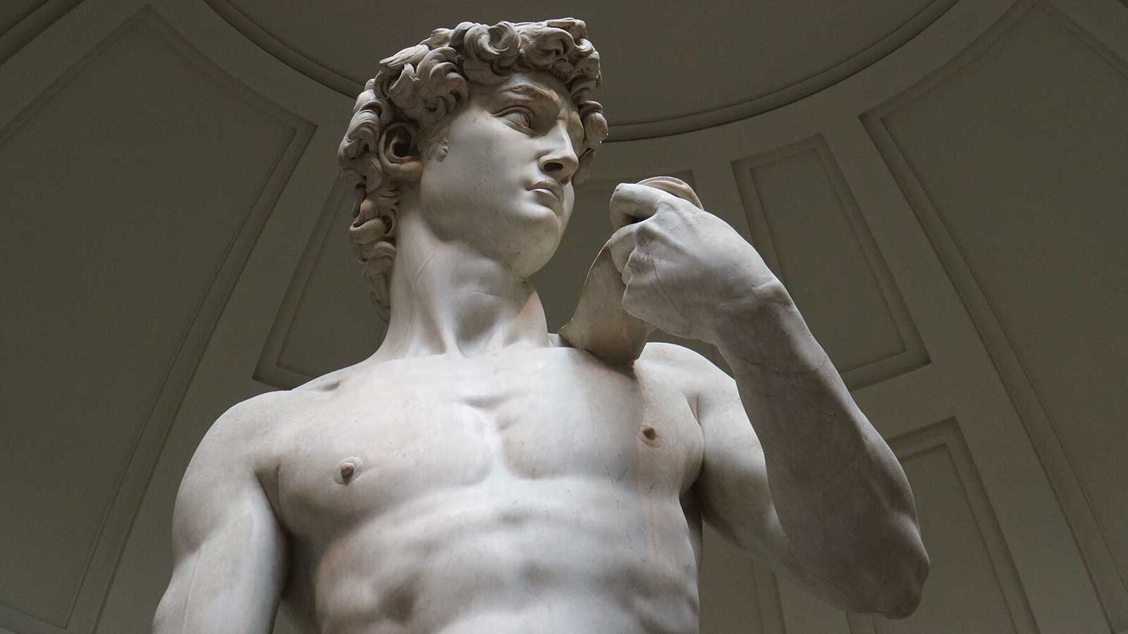 the david case study