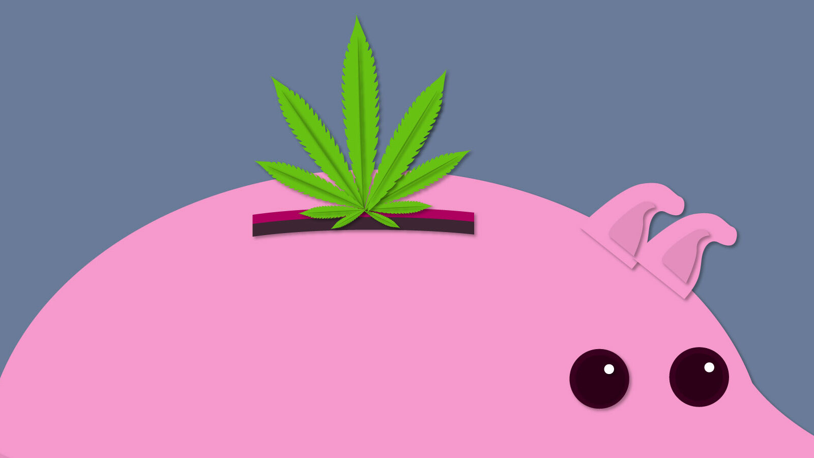 Theory Wellness Cannabis